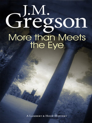 cover image of More than Meets the Eye